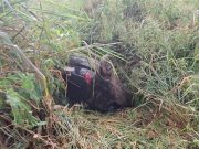 Capotamento na PR-439 deixa jovem ferido em Santo Antônio da Platina