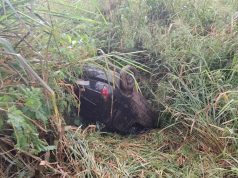 Capotamento na PR-439 deixa jovem ferido em Santo Antônio da Platina