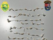 Adolescente é apreendido com 88 pedras de crack em Jacarezinho