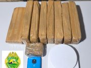 POLÍCIA MILITAR APREENDE QUASE 6 KG DE MACONHA NO PARQUE BELA VISTA, JACAREZINHO/PR